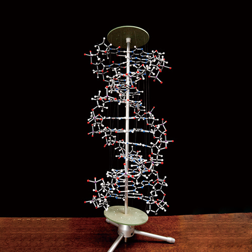 DNA 프로뷰모델궤도