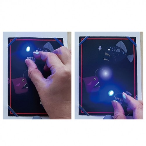 LED 심해 생물 카드 만들기(5인세트 / 개별포장)