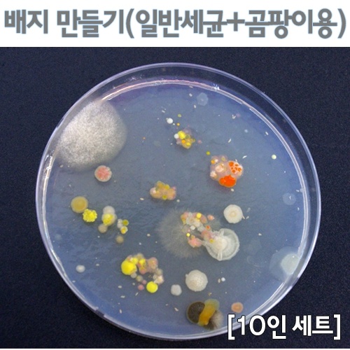 배지만들기2(일반세균+곰팡이) - 10인세트