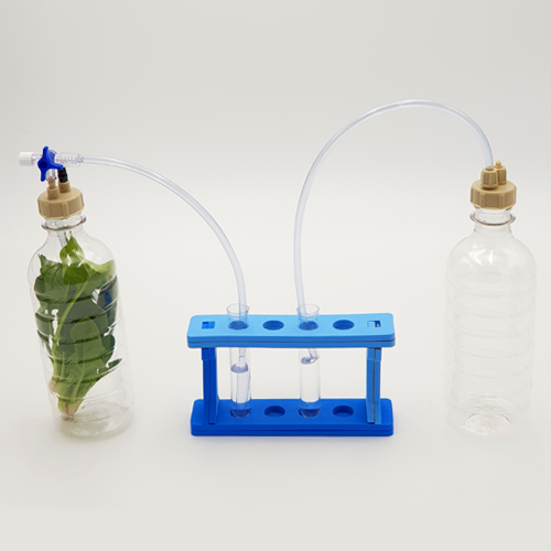식물의호흡실험세트(광합성)