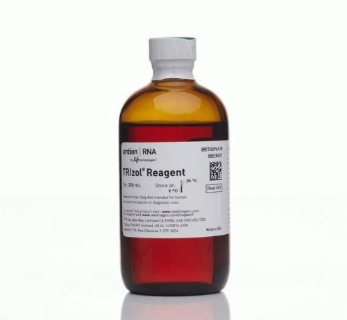 TRIzol™ Reagent / 트리졸 - 100ML