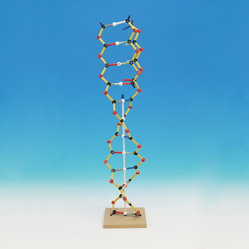DNA - RNA 키트궤도