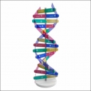 뉴 DNA 입체 모형 만들기(1인용/10인용)