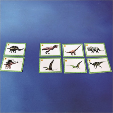 공룡 카드(5인세트)