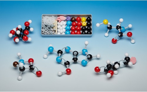 몰리모드 생물학 분자 구조 모형
