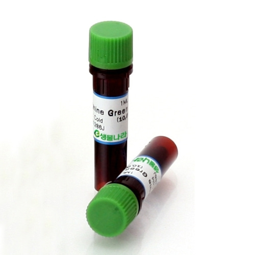 SafeShineGreen Stain - EtBr 대체시약 / 전기영동 DNA 염색제