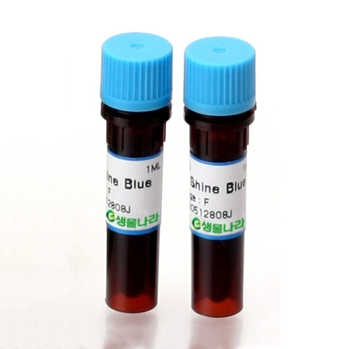 SafeShineBlue Stain - EtBr 대체시약 / 전기영동 DNA 염색제